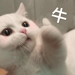 在线配资论坛 广东人养鱼有多硬核？鱼苗产量占全国一半